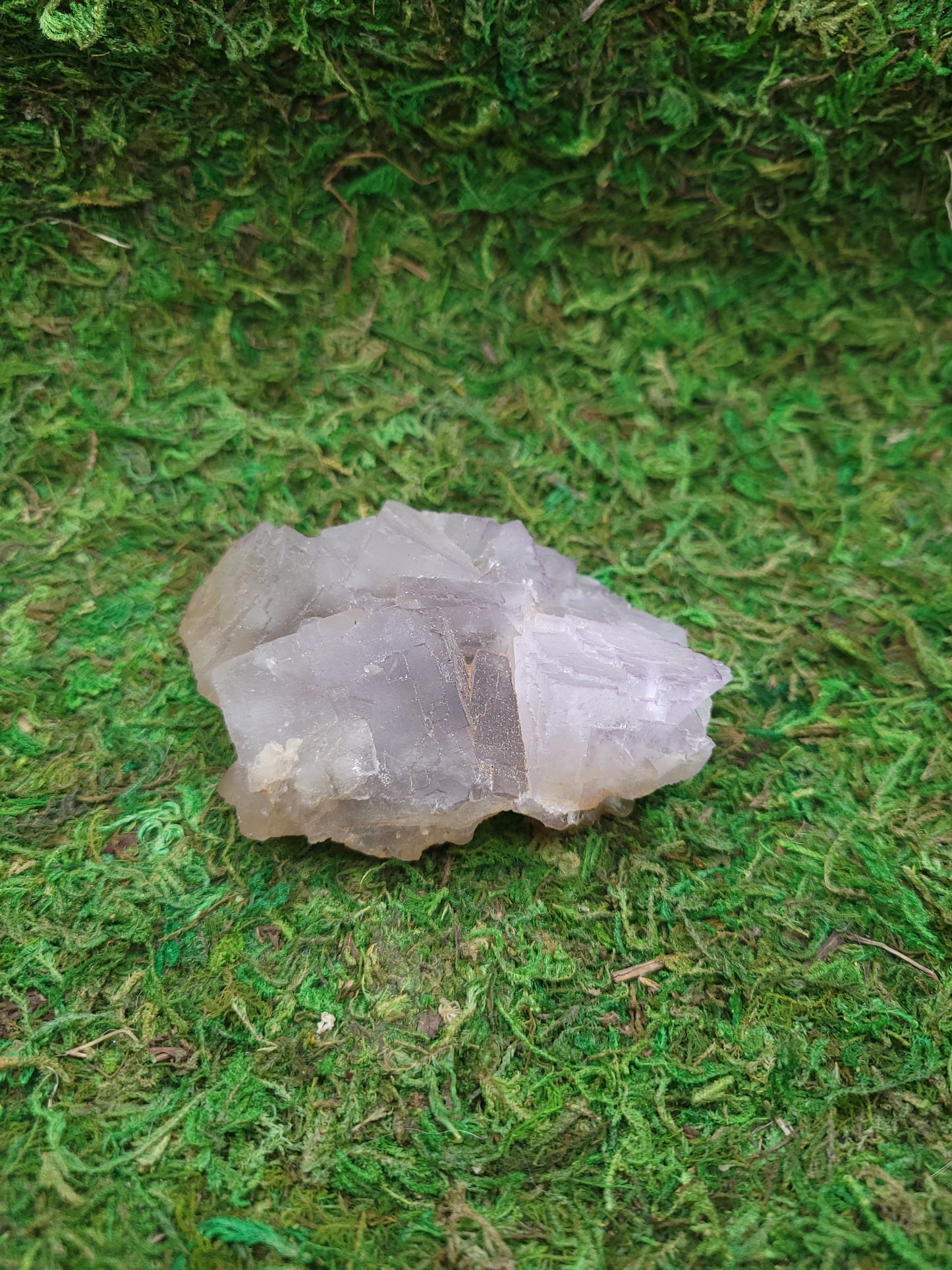 Cubic Fluorite Freeform