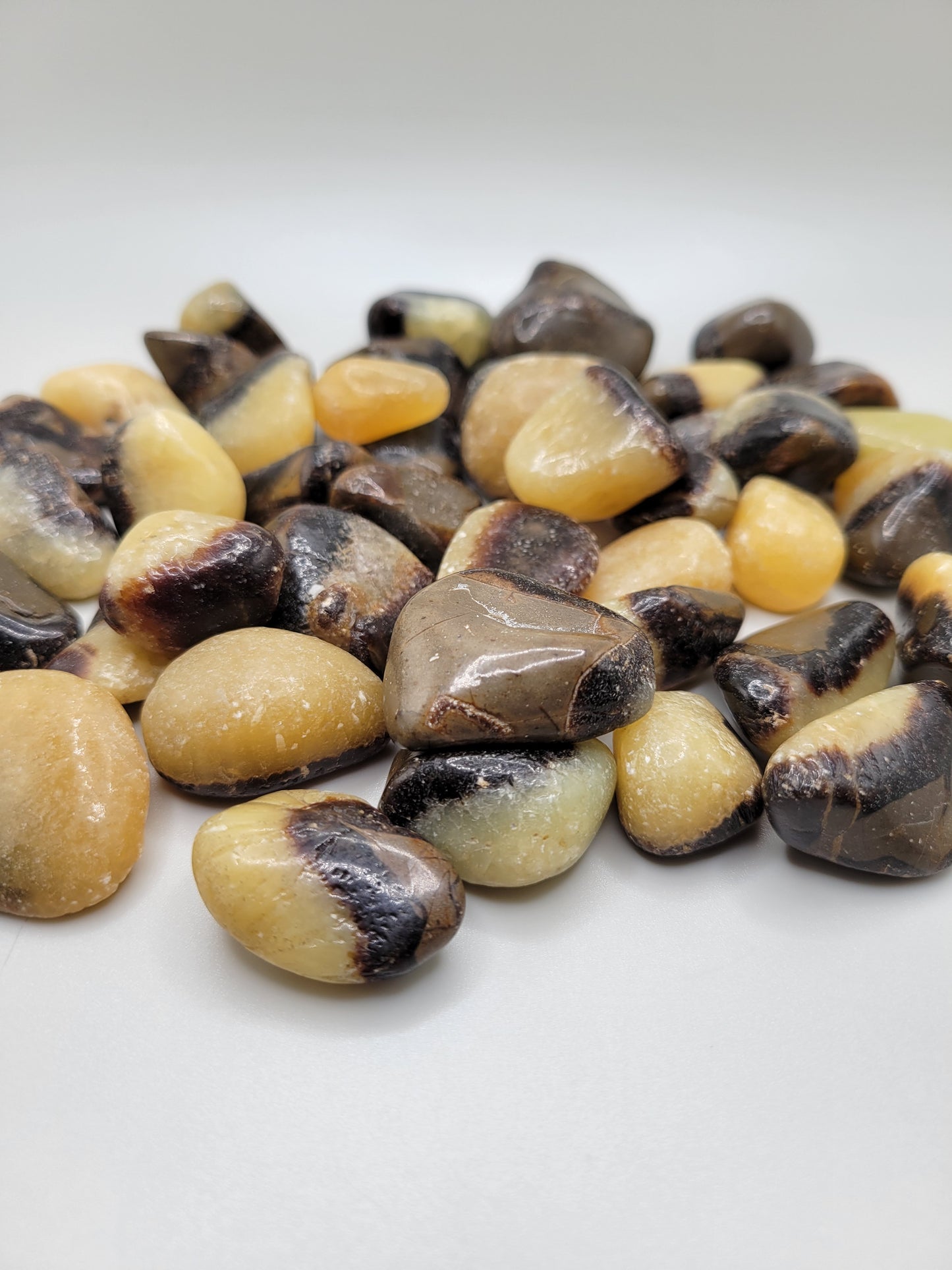 Septarian Tumbles