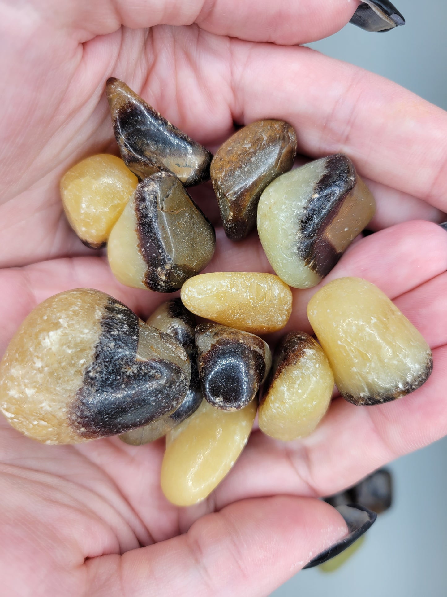 Septarian Tumbles