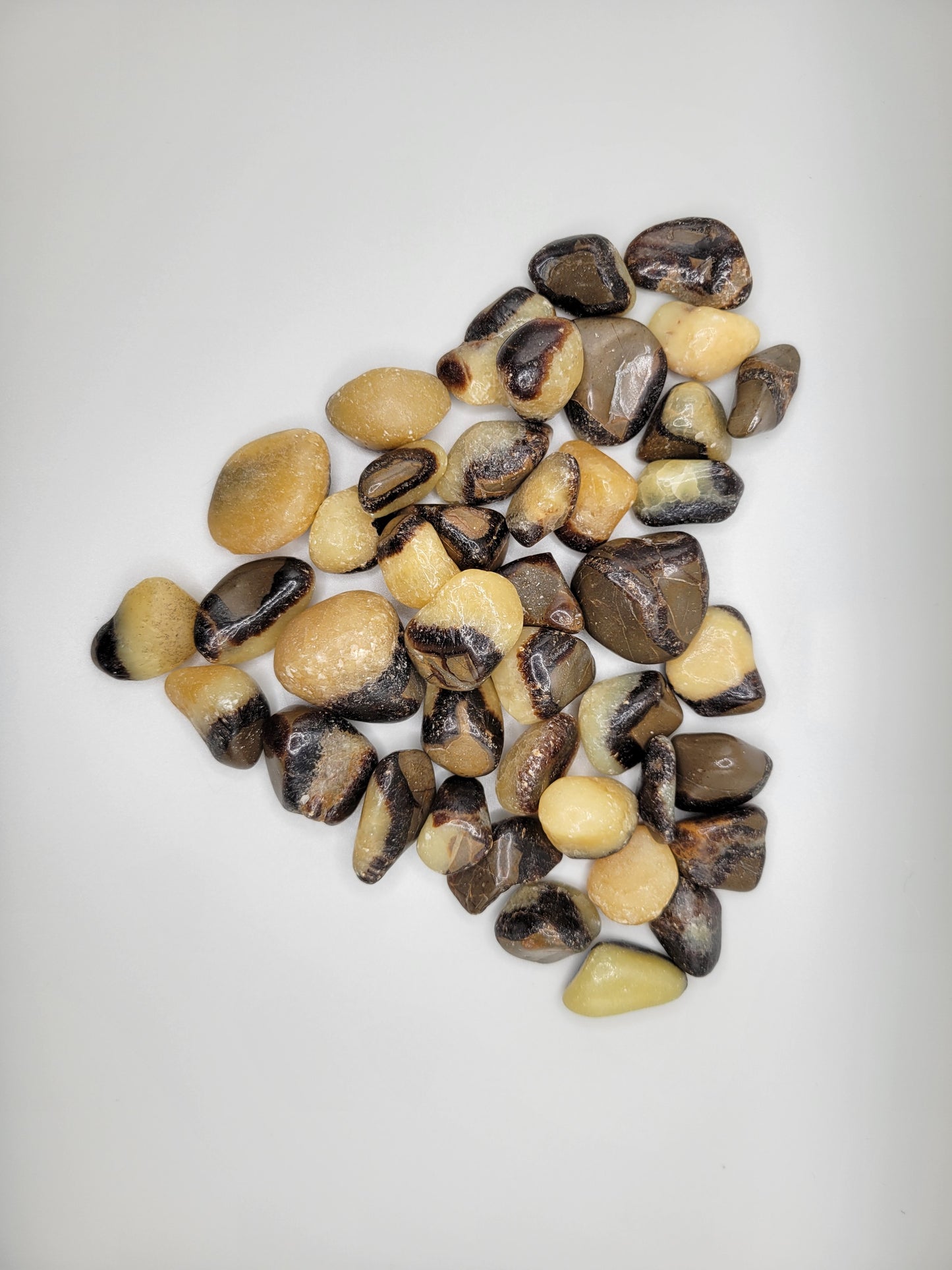 Septarian Tumbles