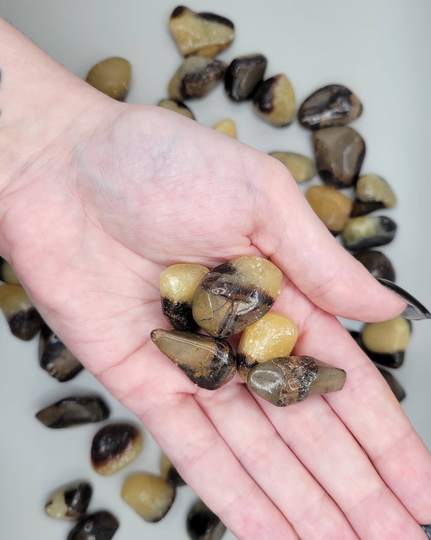 Septarian Tumbles