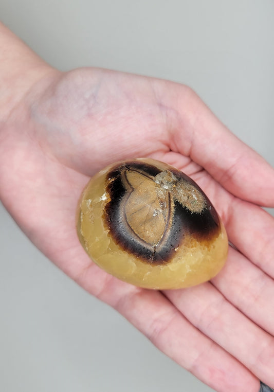 Septarian Egg - Small